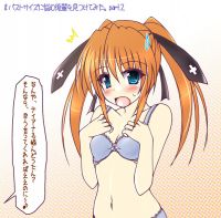 mahou_shoujo_lyrical_nanoha_-_lanyok_00614.jpg